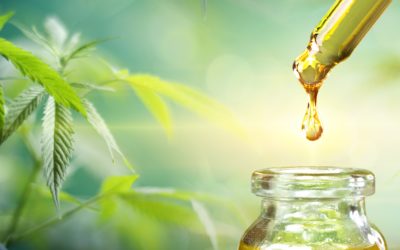 The Future Of CBD Treatment – The Latest Breakthroughs And What To Expect Next